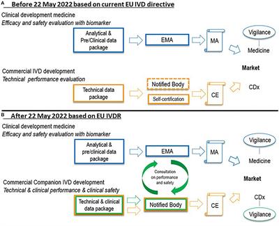 Evaluation of Companion Diagnostics in Scientific Advice and Drug Marketing Authorization Applications by the European Medicines Agency